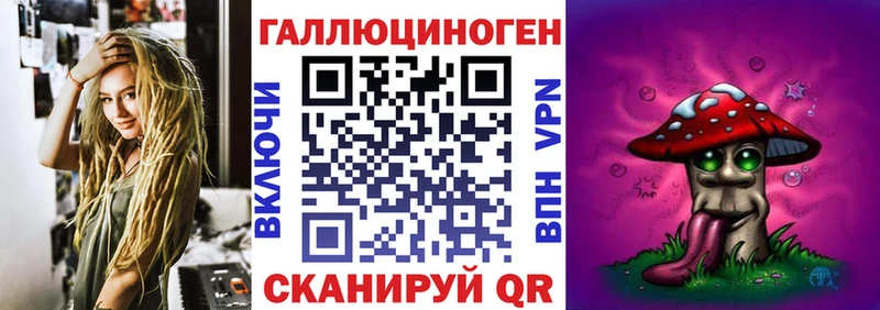 Купить закладки  Советская Гавань  Псилоцибиновые грибы Psilocybe 